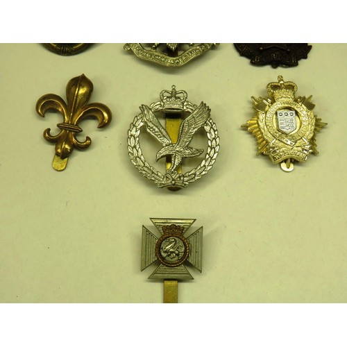 59 - TEN MILITARY CAP BADGES