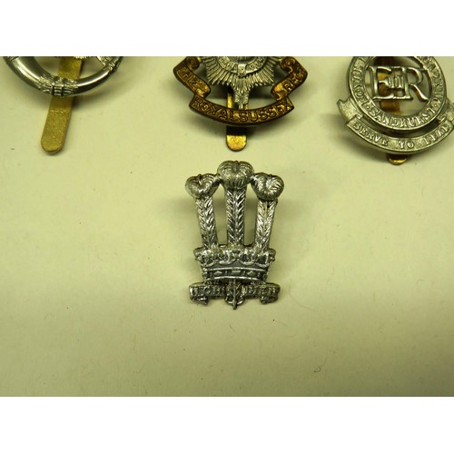 60 - TEN MILITARY CAP BADGES