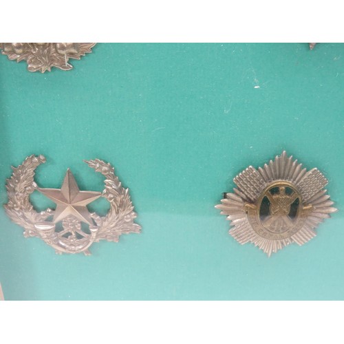 48 - 14x MILITARY CAP BADGES IN DISPLAY FRAME