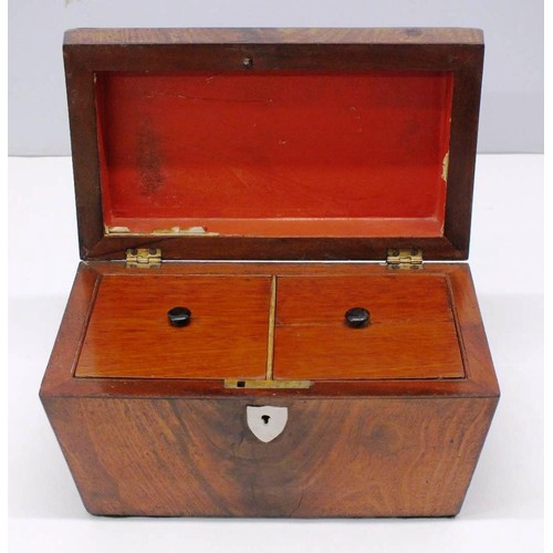 259 - GEORGIAN ANTIQUE MAHOGANY SARCOPHAGUS TWIN TEA CADDY