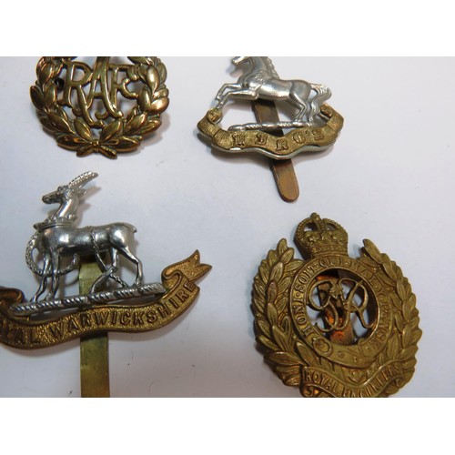 213 - 12 MILITARY CAP BADGES