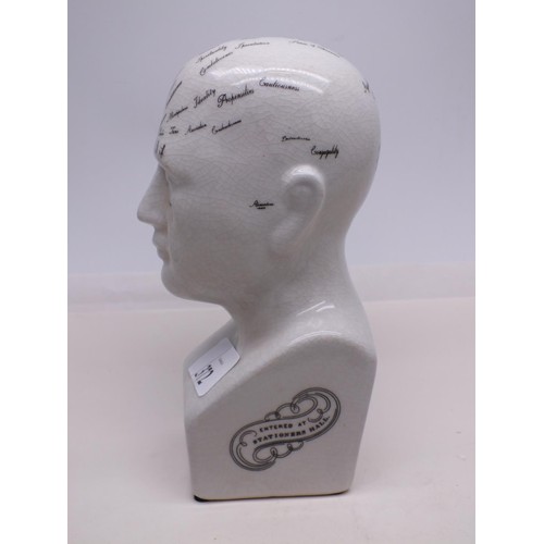 372 - SMALL PHRENOLOGY HEAD