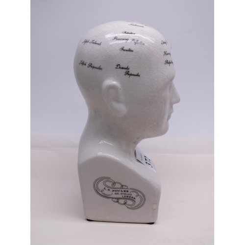 372 - SMALL PHRENOLOGY HEAD