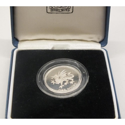 39 - 1995 SILVER PROOF £1 COIN IN BOX - ROYAL MINT