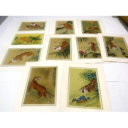 248 - SET OF TEN CHINESE SIGNED WATERCOLOUR PAINTINGS DEPICTING BENGAL TIGERS