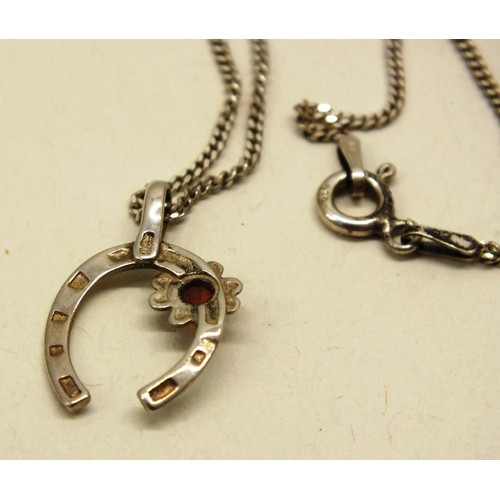 244 - STERLING SILVER & AMBER HORSESHOE NECKLACE