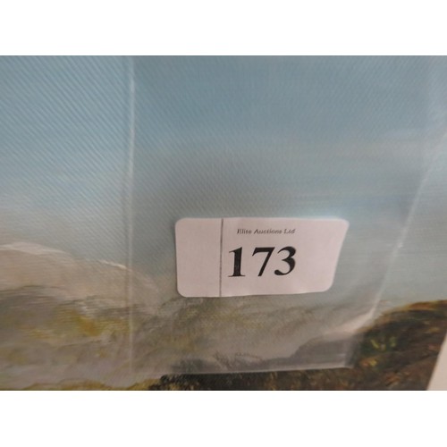 Lot 173       