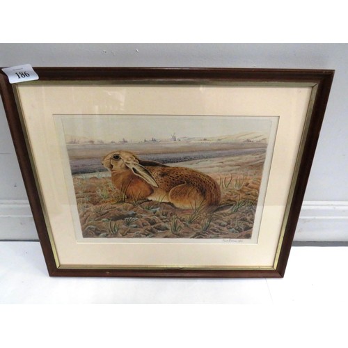 186 - FRAMED PRINT OF A HARE 10/85 BY PAUL FARMER