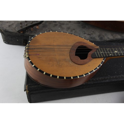 Vintage Instruments Inc 3/4 Violin & Acoustic Cased Lutes