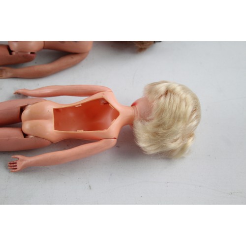 400 - 2 x Vintage Palitoy SINDY 033055X Fashion Dolls Inc. Brunette, 2 Gen, Etc