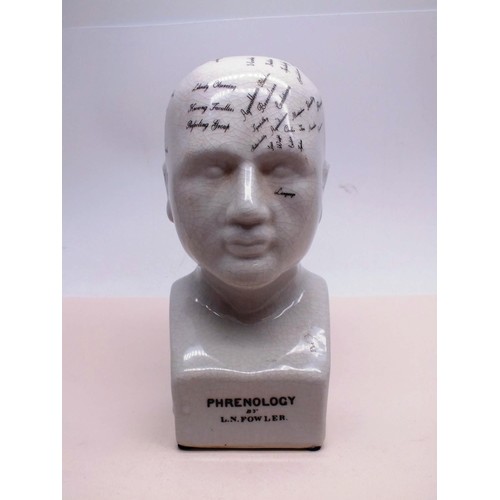 29 - PHRENOLOGY HEAD