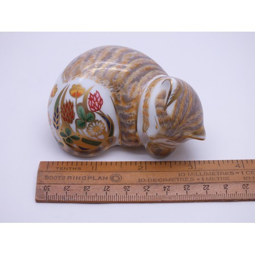 12 - ROYAL CROWN DERBY COTTAGE GARDEN KITTEN WITH GOLD STOPPER