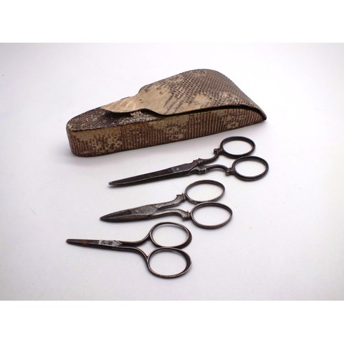 175 - ANTIQUE SNAKE SKIN SCISSORS CASE AND SCISSORS