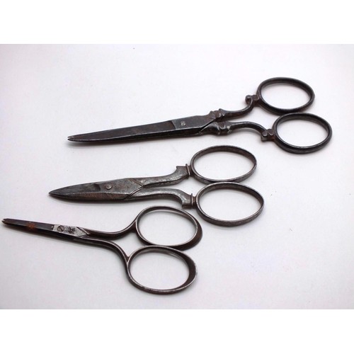 175 - ANTIQUE SNAKE SKIN SCISSORS CASE AND SCISSORS