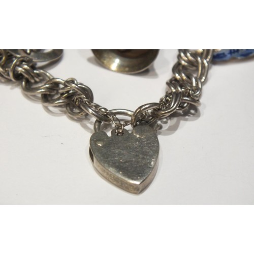 213 - SILVER CHARM BRACELET WITH 9 CHARMS