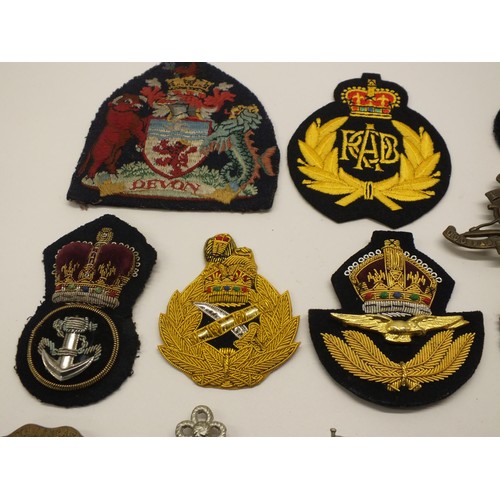 16 - TEN CAP BADGES AND SIX CLOTH BADGES