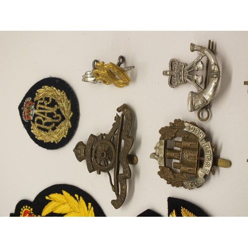 16 - TEN CAP BADGES AND SIX CLOTH BADGES