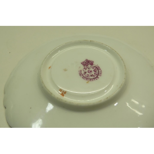 214 - ANTIQUE ROYAL WORCESTER FLORAL IVORY BLUSH SMALL CUP & SAUCER