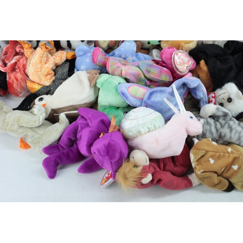 552 - Job Lot Assorted TY BEANIE BABY Toys Inc Pappa, Scoop, Doby Etc