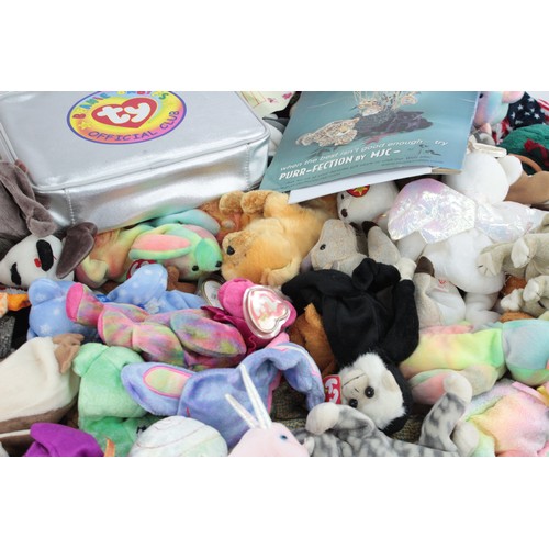 552 - Job Lot Assorted TY BEANIE BABY Toys Inc Pappa, Scoop, Doby Etc