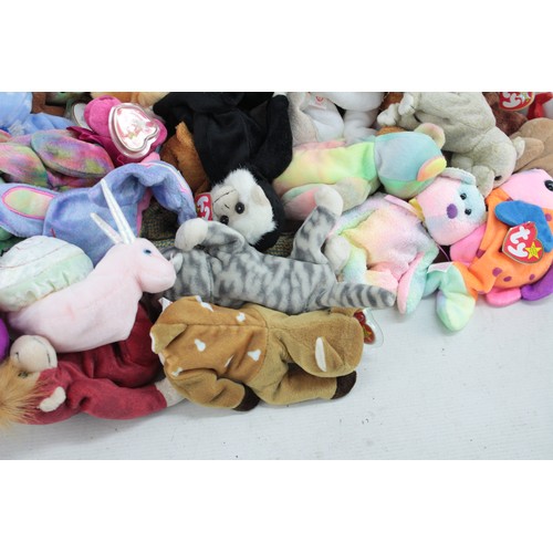 552 - Job Lot Assorted TY BEANIE BABY Toys Inc Pappa, Scoop, Doby Etc