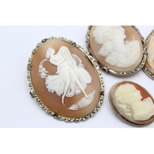 570 - 5 x .800 silver mounted shell cameo brooches (39g)