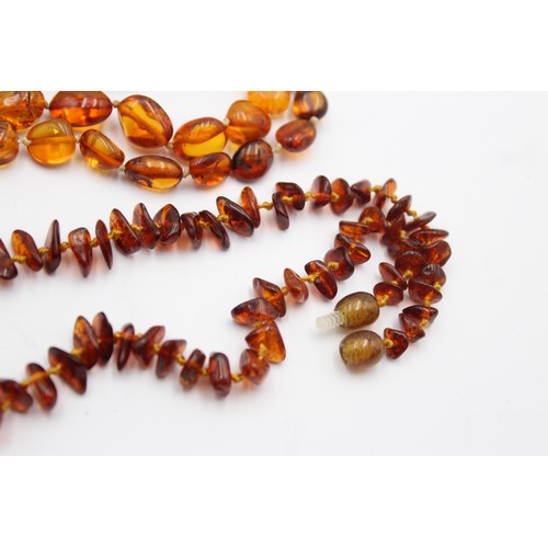 594 - 2 x amber bead necklaces including screw clasp (39g)