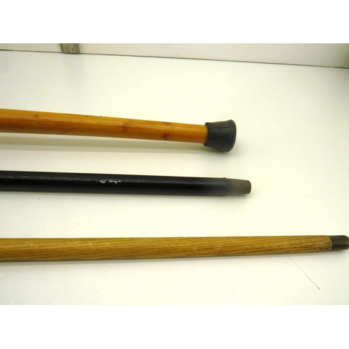 139 - THREE STICKS INCLUDING HORN HANDLED