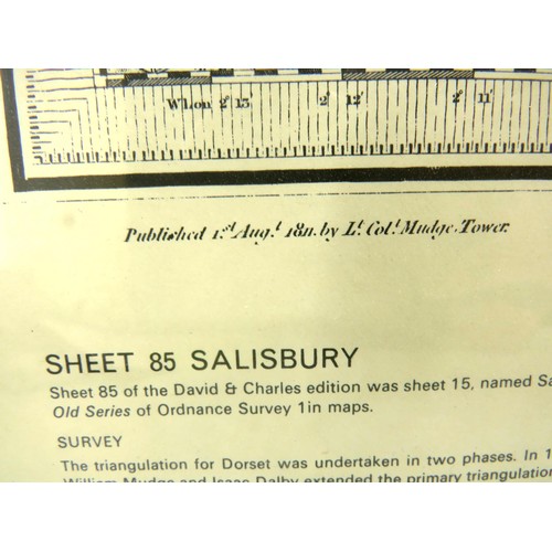 41 - LARGE FRAMED SHEET 85 SALISBURY MAP