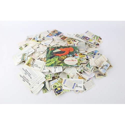 421 - Job Lot Assorted Vintage CIGARETTE CARDS Inc Tropical Birds, History of Aviatio