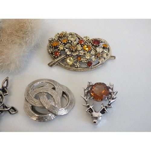 291 - 10 x VINTAGE BROOCHES AND SCARF CLIPS INCLUDES SCOTTISH, MINK, BUTTERFLY ETC