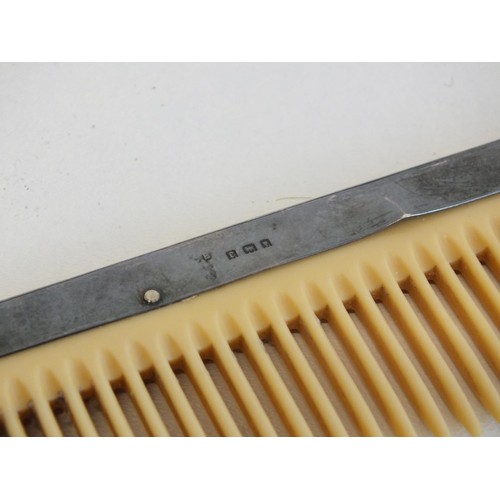 201 - EBONY AND SILVER BRUSH AND COMB SET