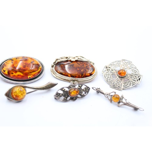 478 - X 6 .925 Amber Brooches (36g)