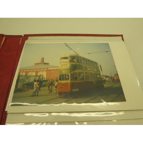 252 - 8 x ALBUMS OF BUS PHOTOGRAPHS