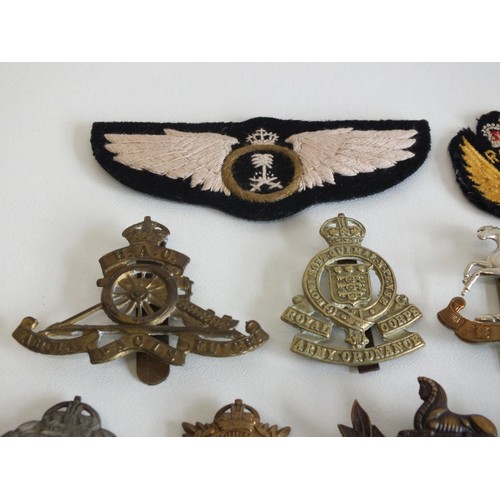 18 - TEN VARIOUS MILITARY BADGES