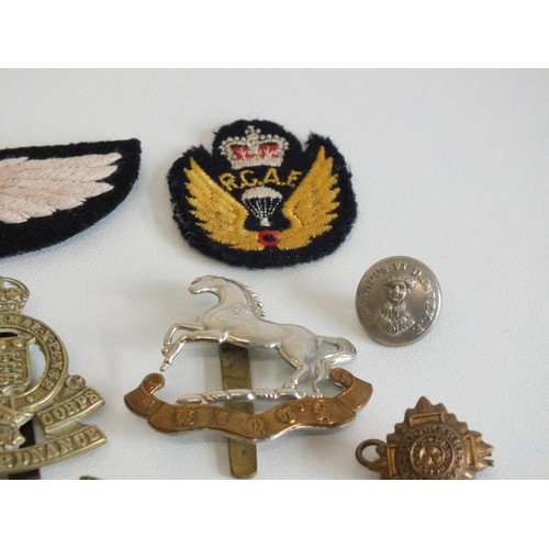 18 - TEN VARIOUS MILITARY BADGES