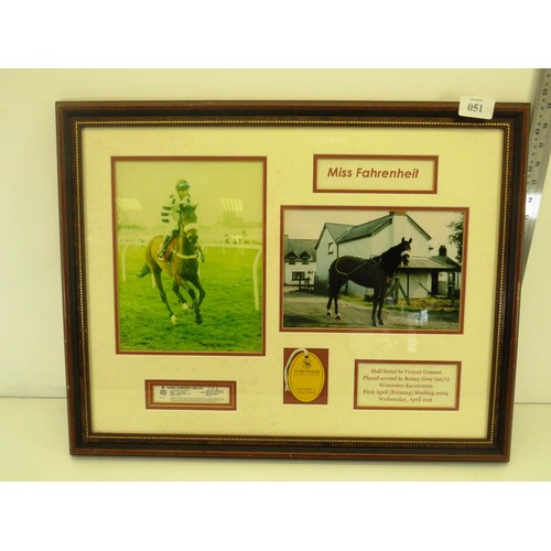 51 - FRAMED RACEHORSE MISS FAHRENHEIT PHOTOGRAPHS AND EPHEMERA COLLAGE 65cm x 52cm