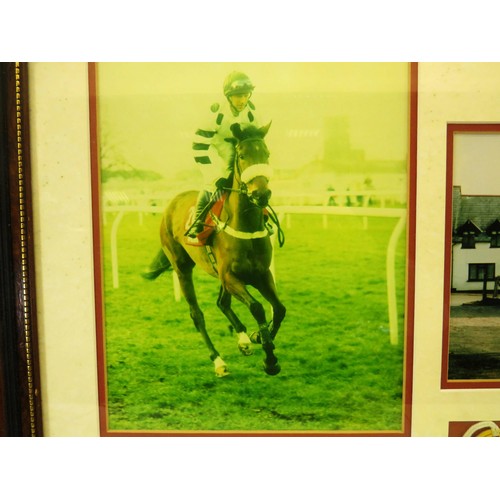 51 - FRAMED RACEHORSE MISS FAHRENHEIT PHOTOGRAPHS AND EPHEMERA COLLAGE 65cm x 52cm