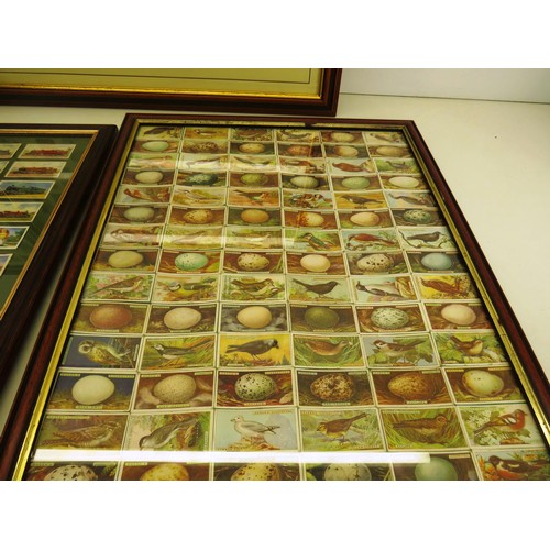 54 - FOUR PICTURES OF FRAMED CIGARETTE CARDS INCLUDES- OGDENS BIRDS AND EGGS, WILLS RAILWAY ENGINES, HORS... 