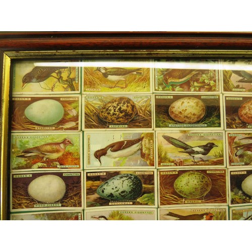 54 - FOUR PICTURES OF FRAMED CIGARETTE CARDS INCLUDES- OGDENS BIRDS AND EGGS, WILLS RAILWAY ENGINES, HORS... 