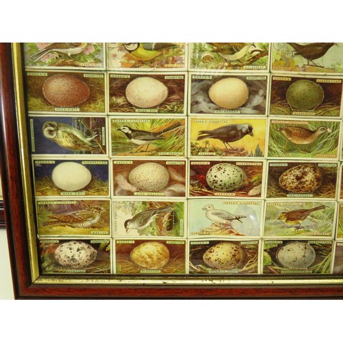 54 - FOUR PICTURES OF FRAMED CIGARETTE CARDS INCLUDES- OGDENS BIRDS AND EGGS, WILLS RAILWAY ENGINES, HORS... 