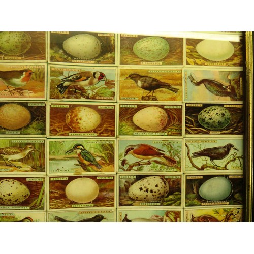 54 - FOUR PICTURES OF FRAMED CIGARETTE CARDS INCLUDES- OGDENS BIRDS AND EGGS, WILLS RAILWAY ENGINES, HORS... 