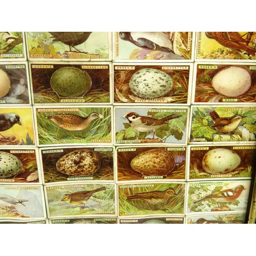 54 - FOUR PICTURES OF FRAMED CIGARETTE CARDS INCLUDES- OGDENS BIRDS AND EGGS, WILLS RAILWAY ENGINES, HORS... 