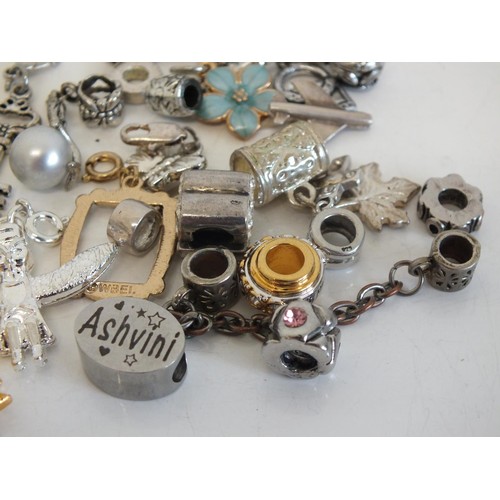 243 - 30 x FASHION CHARMS & PENDANTS