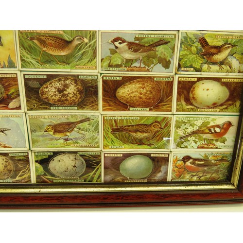 54 - FOUR PICTURES OF FRAMED CIGARETTE CARDS INCLUDES- OGDENS BIRDS AND EGGS, WILLS RAILWAY ENGINES, HORS... 