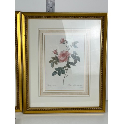 340 - 3x FRAMED PICTURES OF FLOWERS IN GOLD GILT FRAME - MATCHING SET PLUS ONE OTHER FRAME