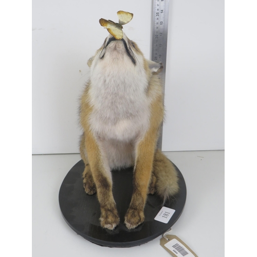 181 - EXCELLENT EXAMPLE OF A FOX CUB CATCHING A BUTTERFLY TAXIDERMY