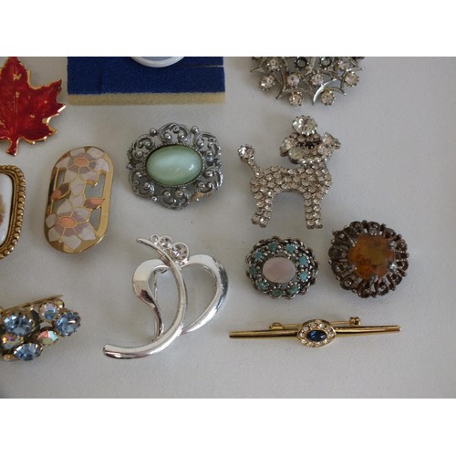 169 - 21 x VINTAGE AND RETRO BROOCHES INCLUDING CAMEO, CERAMIC, ENAMEL ETC