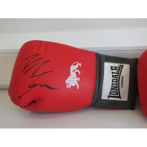 393 - PAIR OF BOXING GLOVES WITH SIGNATURES (MIKE TYSON)