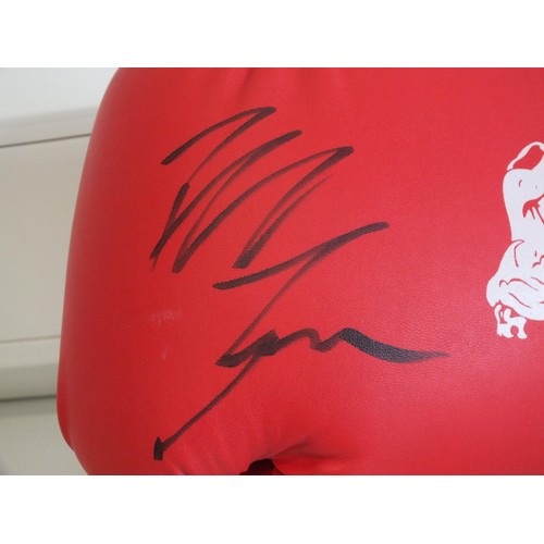 393 - PAIR OF BOXING GLOVES WITH SIGNATURES (MIKE TYSON)